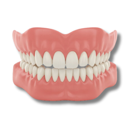 Sheeloo™ - Denture Set